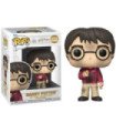 Funko pop harry potter aniversario edicion