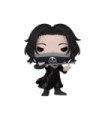 Funko pop hunter x hunter feitan