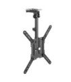 Soporte techo tv equip vesa hasta