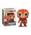 Funko pop animacion masters of the