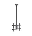 Soporte techo tooq vesa hasta 75 pulgadas