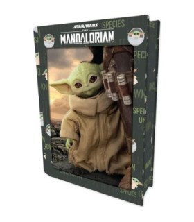 Puzzle libro lenticular prime 3d star
