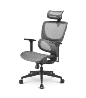 Silla oficina sharkoon officepal c30m negra