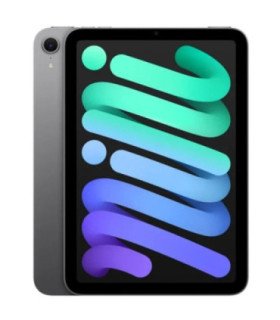Ipad mini 7th gen 256 gb