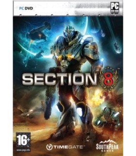 SECTION 8