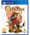 CATMAZE