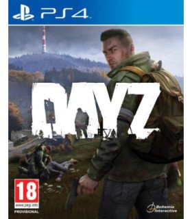 DAY Z