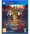 DOUBLE DRAGON GAIDEN: RISE OF THE DRAGONS