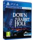 DOWN THE RABBIT HOLE  (VR)