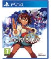 INDIVISIBLE