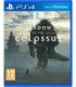 SHADOW OF THE COLOSSUS