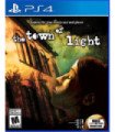THE TOWN OF LIGHT