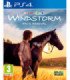 WINDSTORM ARI'S ARRIVAL