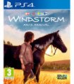 WINDSTORM ARI'S ARRIVAL