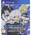 IS IT WRONG TO TRY TO PICK UP GIRLS IN A DUNGEON INFINITE COMBATE