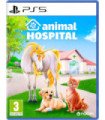 ANIMAL HOSPITAL