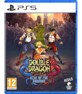 DOUBLE DRAGON GAIDEN: RISE OF THE DRAGONS