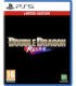 DOUBLE DRAGON REVIVE - LIMITED EDITION