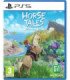 HORSE TALES: EMERALD VALLEY RANCH LIMITED EDITION