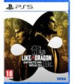 LIKE A DRAGON: INFINITE WEALTH