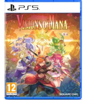 VISIONS OF MANA