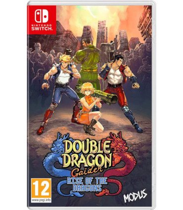 DOUBLE DRAGON GAIDEN: RISE OF THE DRAGONS