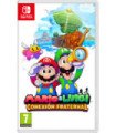 MARIO & LUIGI: CONEXION FRATERNAL